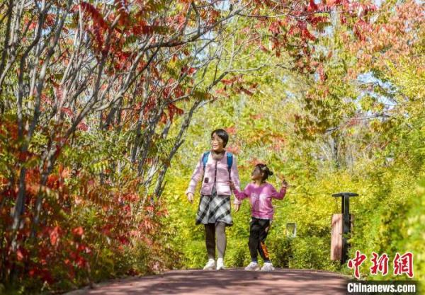 乌鲁木齐公园色彩斑斓秋意渐浓 乌鲁木齐公园色彩斑斓秋意渐浓