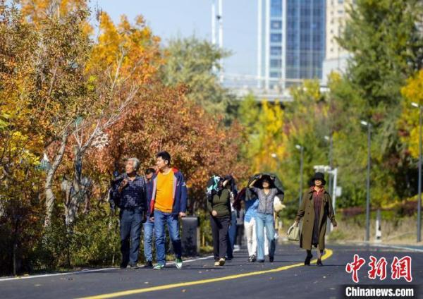 乌鲁木齐公园色彩斑斓秋意渐浓 乌鲁木齐公园色彩斑斓秋意渐浓