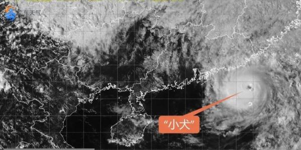 最大风力15级!强度加强!台风“小犬”到哪了? 最大风力15级!强度加强!台风“小犬”到哪了?