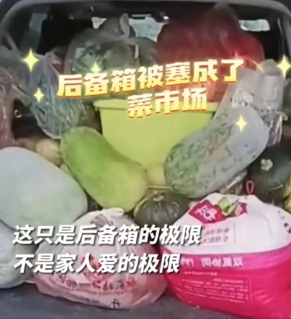 装不下，根本装不下！返程后备箱“塞了个菜市场”