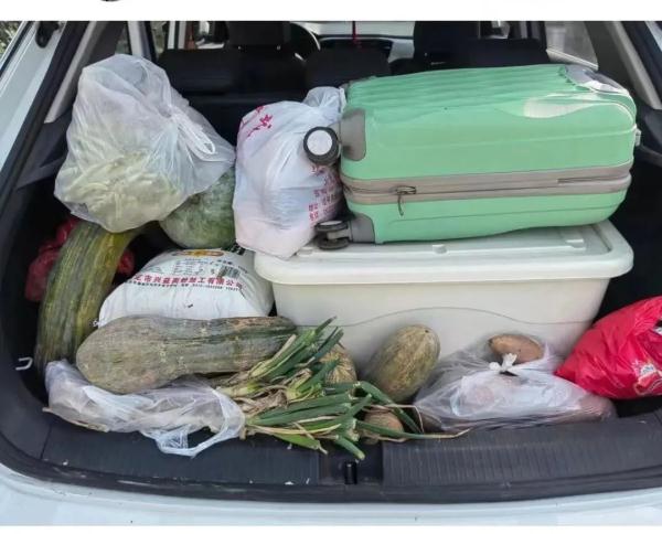 装不下，根本装不下！返程后备箱“塞了个菜市场”