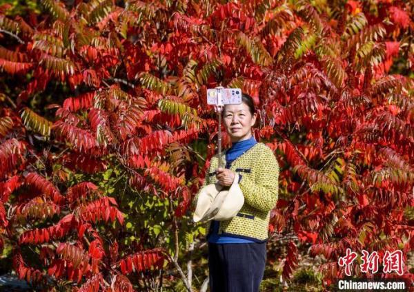 乌鲁木齐公园色彩斑斓秋意渐浓 乌鲁木齐公园色彩斑斓秋意渐浓