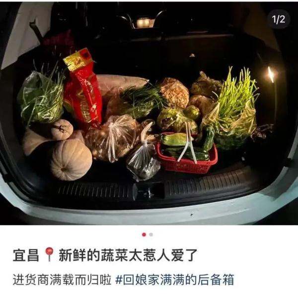 装不下了，真装不下了！返程后备箱、行李箱“塞了个菜市场”……