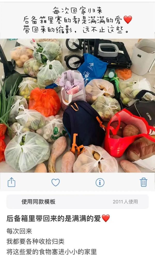 装不下了，真装不下了！返程后备箱、行李箱“塞了个菜市场”……