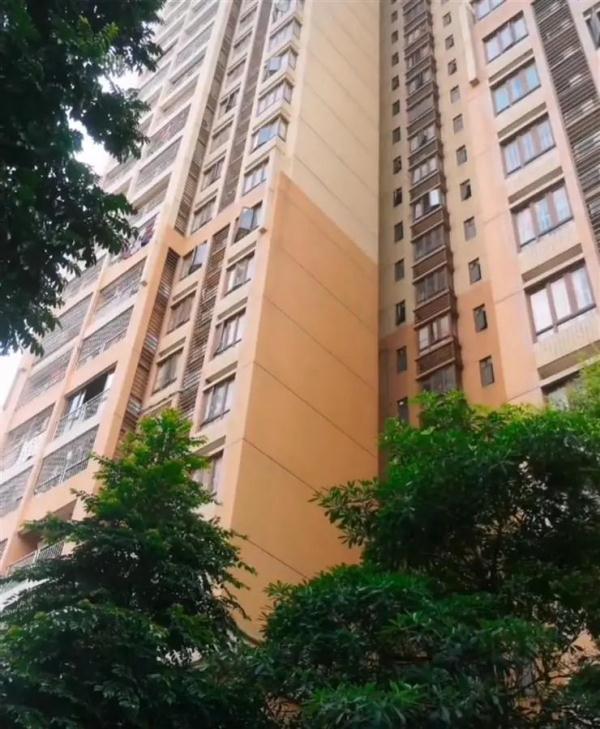 手机丢失20多天,女子凭一招跨城60公里寻回!网友:学到了 手机丢失20多天,女子凭一招跨城60公里寻回!网友:学到了