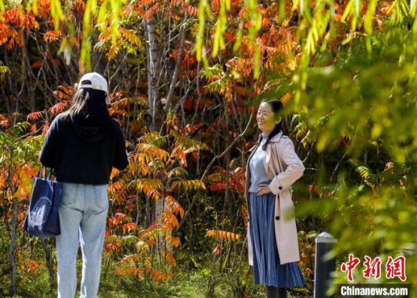 乌鲁木齐公园色彩斑斓秋意渐浓 乌鲁木齐公园色彩斑斓秋意渐浓