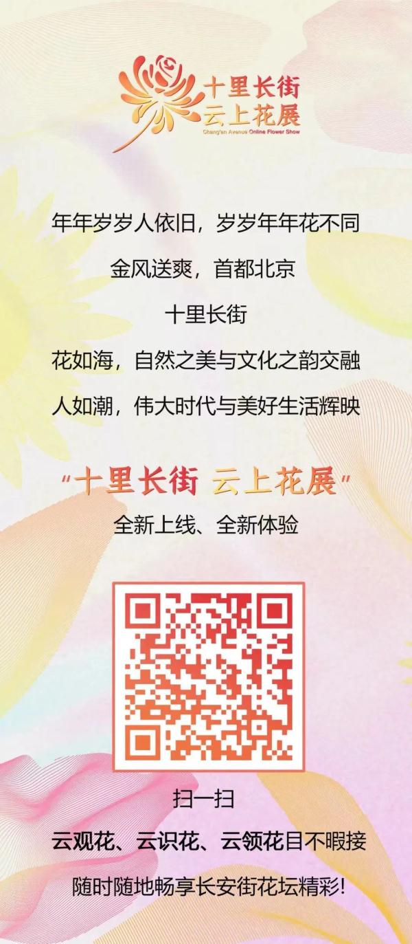 双节假期,京城这10个地儿最火!公园花坛还没顾上看,不慌 双节假期,京城这10个地儿最火!公园花坛还没顾上看,不慌