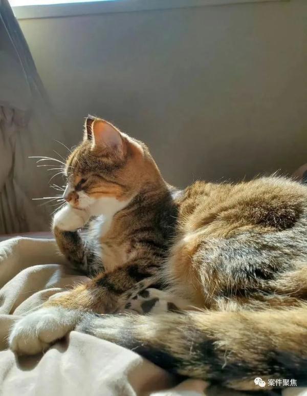 上海38岁女老师被骗400万还想跟骗子结婚,民警苦劝12次…… 上海38岁女老师被骗400万还想跟骗子结婚,民警苦劝12次……