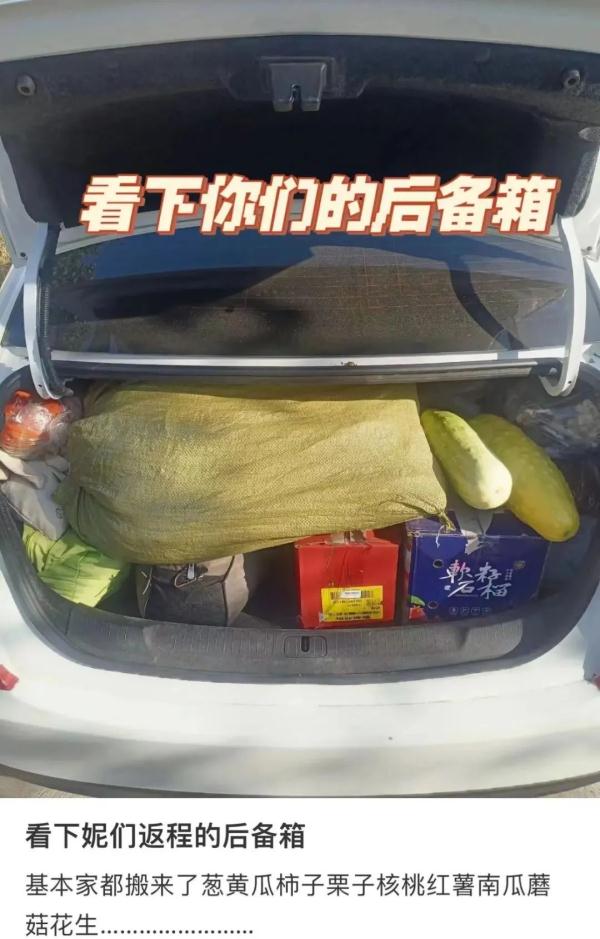 装不下，根本装不下！返程后备箱“塞了个菜市场”