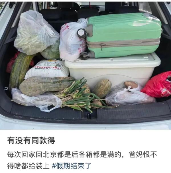装不下了，真装不下了！返程后备箱、行李箱“塞了个菜市场”……