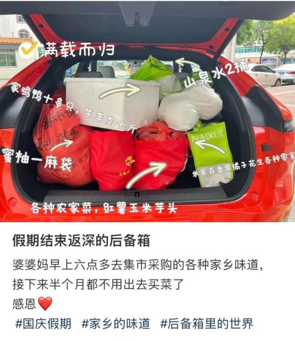 装不下了，真装不下了！返程后备箱、行李箱“塞了个菜市场”……
