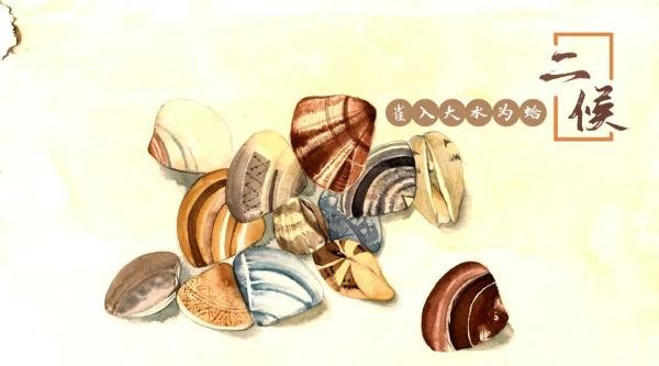 二十四节气之寒露：露滴疏桐，人间深秋