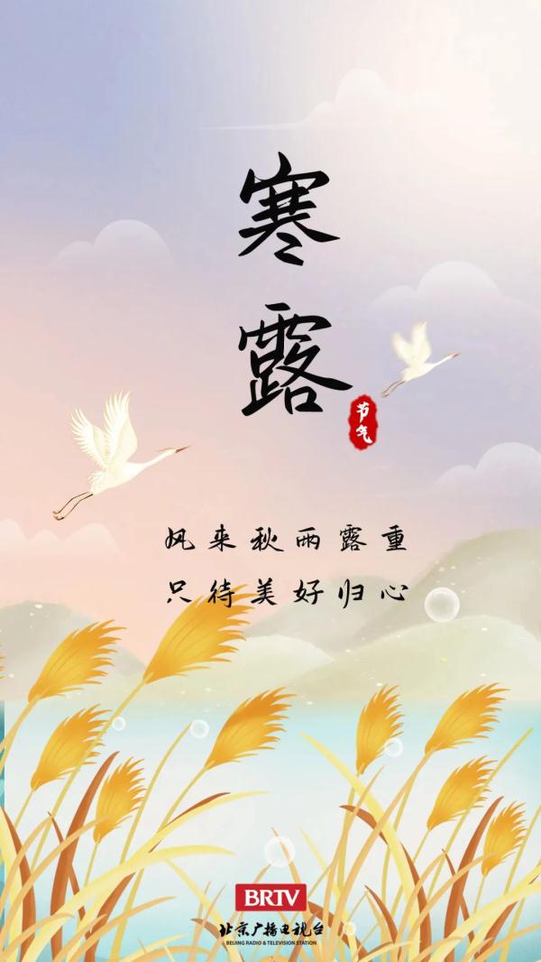 寒露丨天要凉了 注意添衣