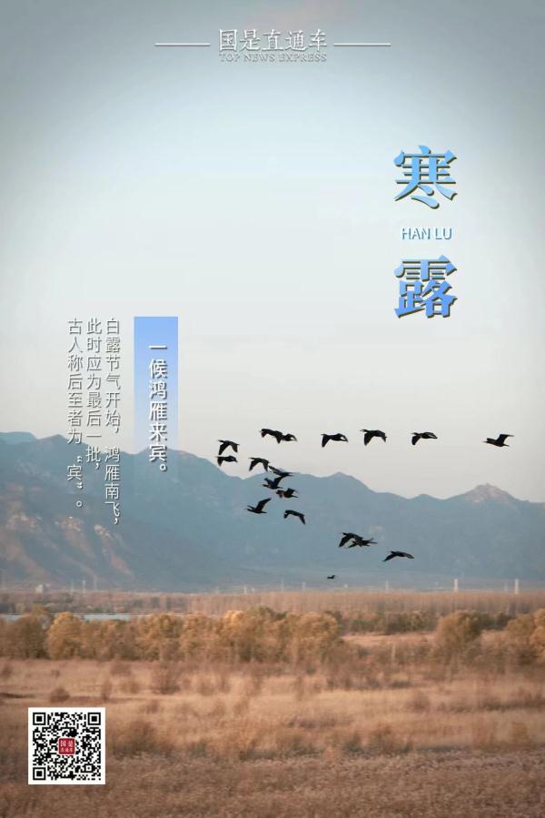 今日寒露：赏红叶、醉江蟹、觅秋茶