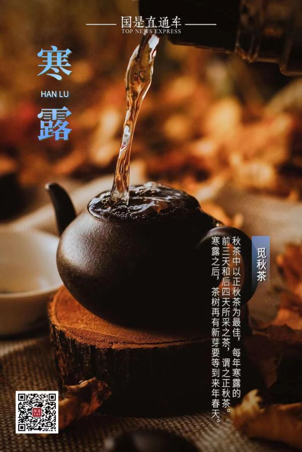 今日寒露：赏红叶、醉江蟹、觅秋茶