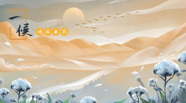 二十四节气之寒露：露滴疏桐，人间深秋