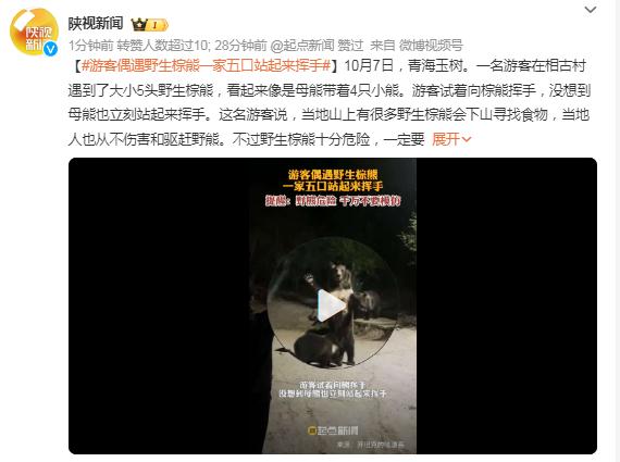 游客偶遇野生棕熊，“一家五口”站起来向人挥手，提醒：野熊危险 不要模仿