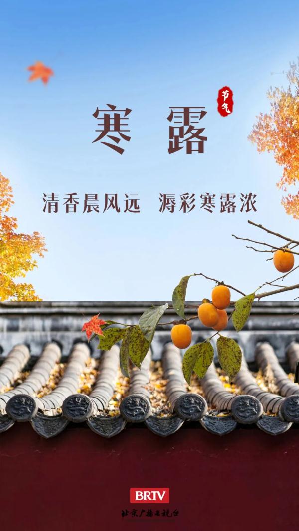 寒露丨天要凉了 注意添衣