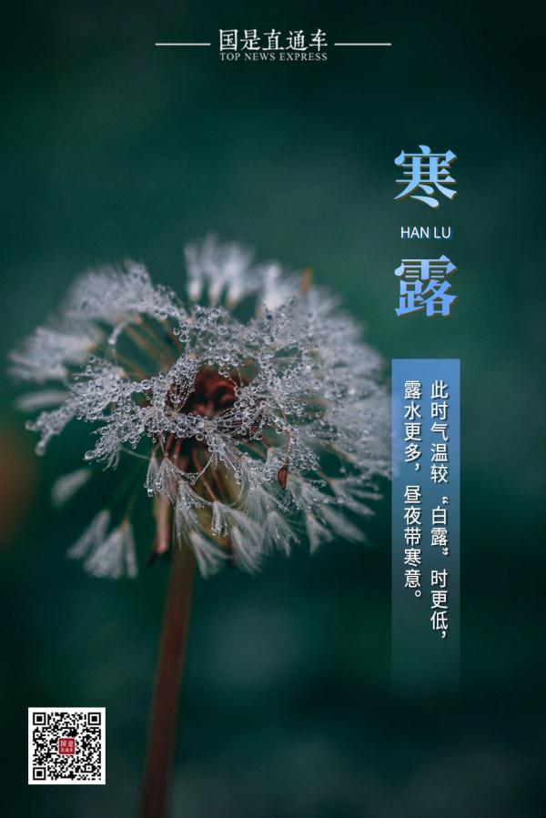 今日寒露：赏红叶、醉江蟹、觅秋茶