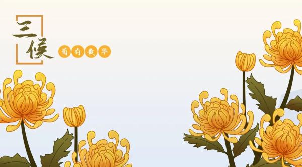 二十四节气之寒露：露滴疏桐，人间深秋