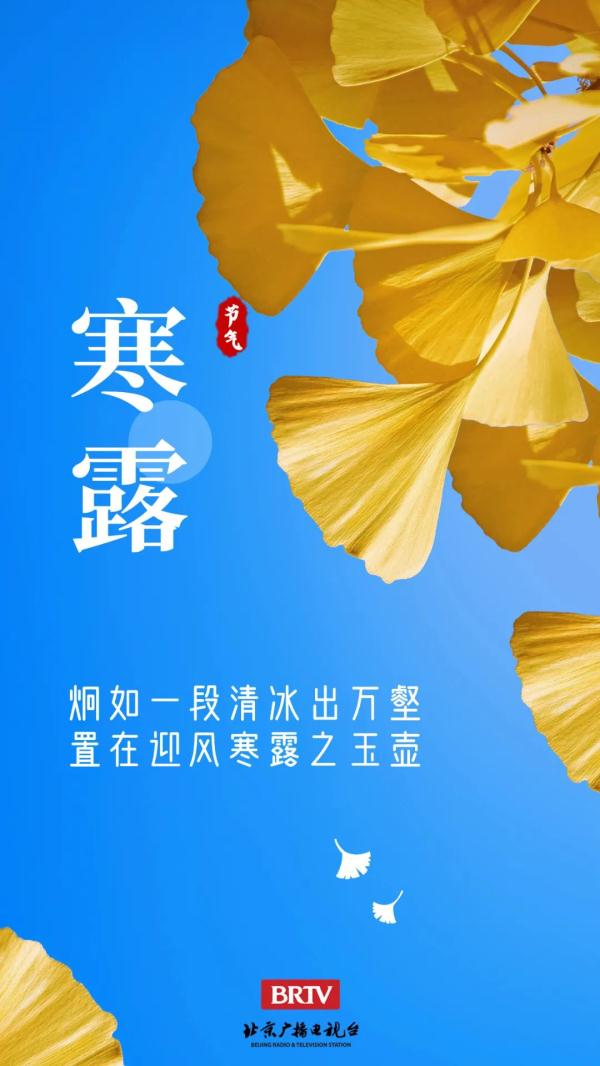 寒露丨天要凉了 注意添衣