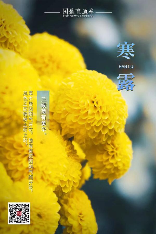 今日寒露：赏红叶、醉江蟹、觅秋茶