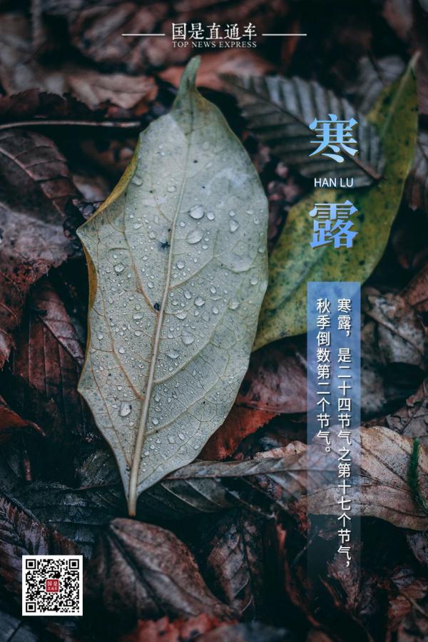 今日寒露：赏红叶、醉江蟹、觅秋茶