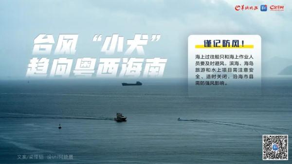 最新预判！“小犬”将在这里登陆｜这些地方将有大风大雨→