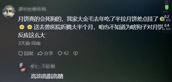心疼又好笑!狗狗集体趴地打吊针,原来因为... 心疼又好笑!狗狗集体趴地打吊针,原来因为...
