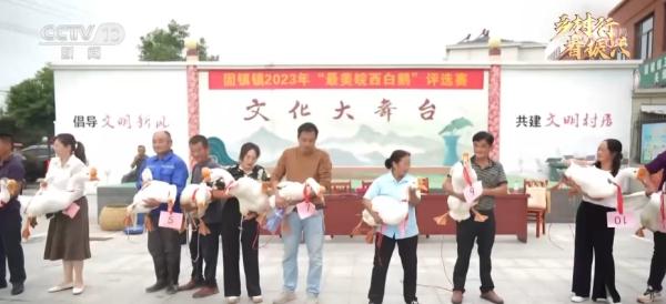 鹅鹅鹅，唱响致富歌！一只大白鹅拉动数十亿元综合产业链
