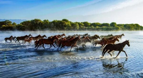 暂停营业、道路封闭……新疆这些景区有调整