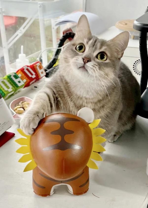 喂猫遛狗一周赚上万元,旅游越热宠物寄养越好赚 喂猫遛狗一周赚上万元,旅游越热宠物寄养越好赚