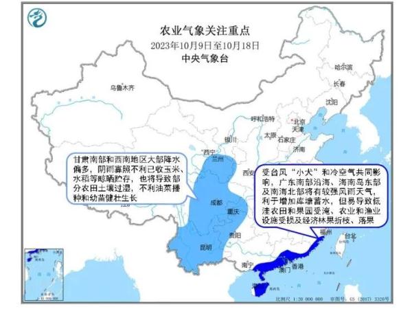 多晴少雨好时节，秋收晾晒“加速度”！
