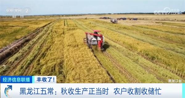 丰收气息扑面而来 “米袋子”“果盘子”“菜篮子”满满当当 丰收气息扑面而来 “米袋子”“果盘子”“菜篮子”满满当当