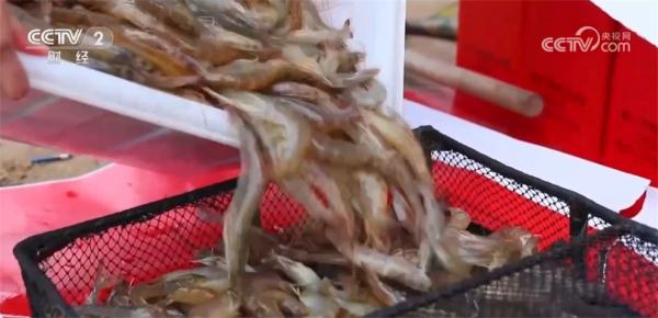 丰收气息扑面而来 “米袋子”“果盘子”“菜篮子”满满当当 丰收气息扑面而来 “米袋子”“果盘子”“菜篮子”满满当当