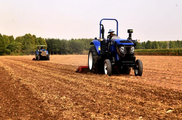 石家庄栾城：金秋农事忙