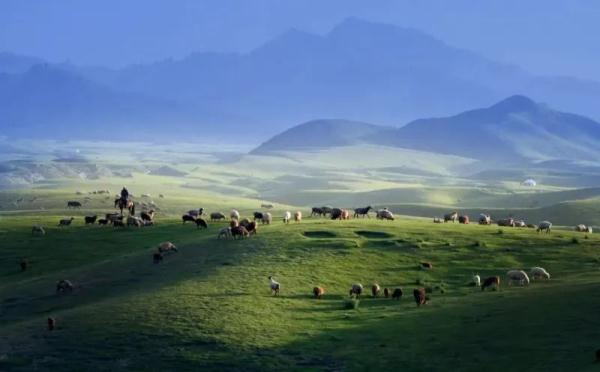 暂停营业、道路封闭……新疆这些景区有调整