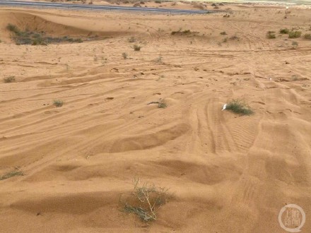 腾格里通报治沙花棒遭碾压事件,公益基地负责人:怀疑涉事越野车剪断沙漠围网 腾格里通报治沙花棒遭碾压事件,公益基地负责人:怀疑涉事越野车剪断沙漠围网