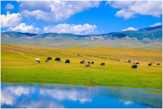 暂停营业、道路封闭……新疆这些景区有调整