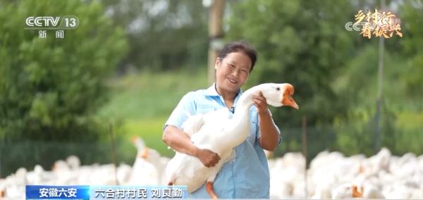 鹅鹅鹅，唱响致富歌！一只大白鹅拉动数十亿元综合产业链