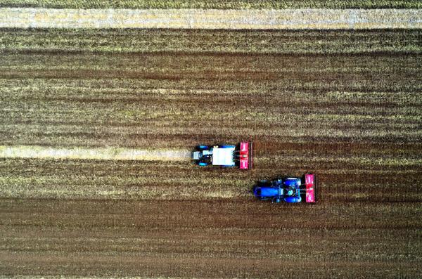 石家庄栾城：金秋农事忙