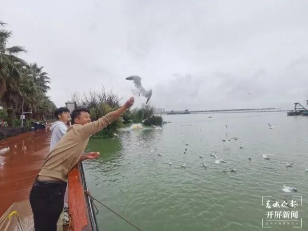 500多只!“先头部队”已抵昆?鸟协专家这样说…… 500多只!“先头部队”已抵昆?鸟协专家这样说……