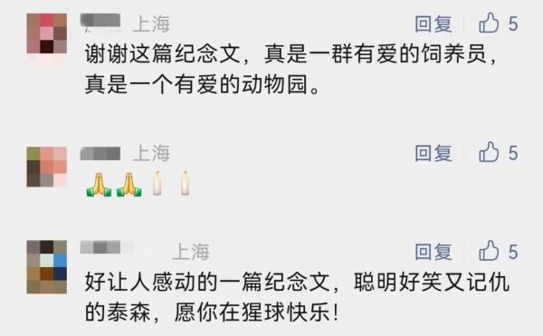 官方消息!上海人的老朋友“森泰”走了...市民不舍:带着我们的童年离去了 官方消息!上海人的老朋友“森泰”走了...市民不舍:带着我们的童年离去了