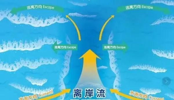 涨退潮、离岸流、野海滩……海边这些危险要关注! 涨退潮、离岸流、野海滩……海边这些危险要关注!