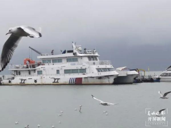 500多只!“先头部队”已抵昆?鸟协专家这样说…… 500多只!“先头部队”已抵昆?鸟协专家这样说……