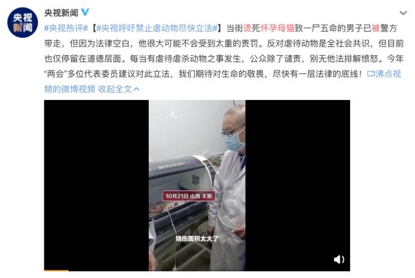 狗狗牙齿被掰断，竟是11岁女孩下的手，称“想看狗会不会咬断自己舌头”