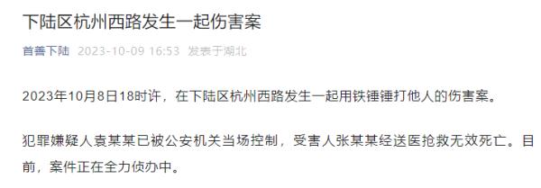 男子当街锤人致死，官方最新通报