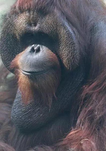 官方消息!上海人的老朋友“森泰”走了...市民不舍:带着我们的童年离去了 官方消息!上海人的老朋友“森泰”走了...市民不舍:带着我们的童年离去了