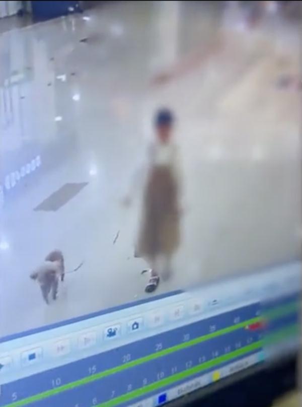 狗狗牙齿被掰断，竟是11岁女孩下的手，称“想看狗会不会咬断自己舌头”