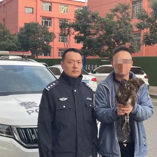 凤头蜂鹰不慎“坠落” 警民联手救助“脱险”